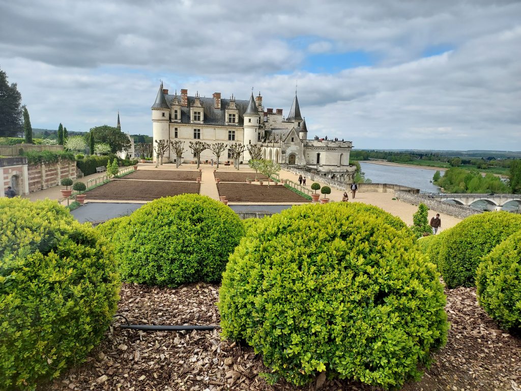 Buis du Château d'Amboise